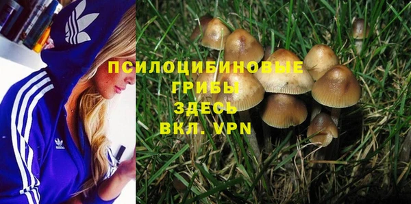 спайс Кулебаки