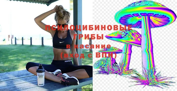 спайс Кулебаки