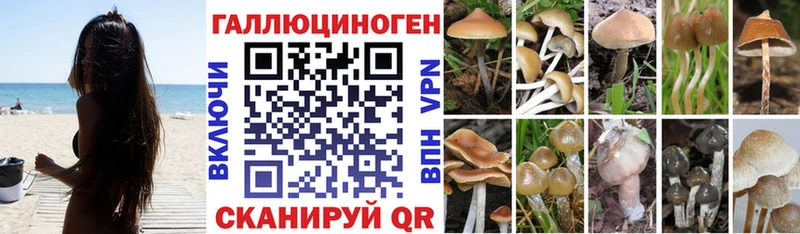 Псилоцибиновые грибы мицелий  магазин    Усть-Кут 